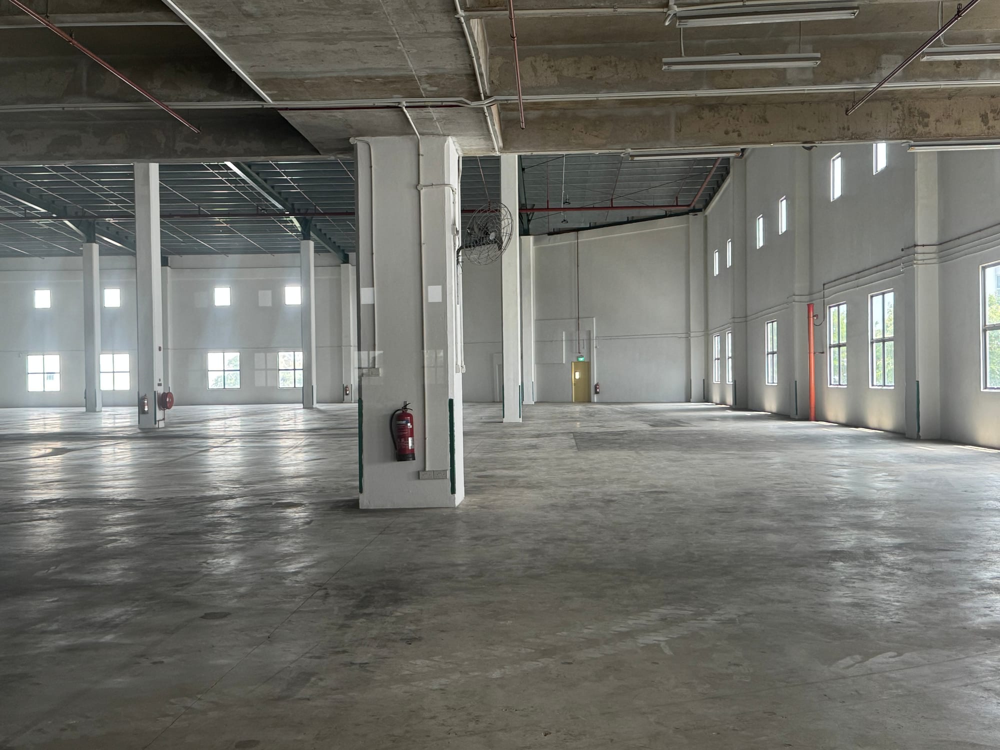 Wide open warehouse floor at 12 Changi North Way with tall columns and high-level windows